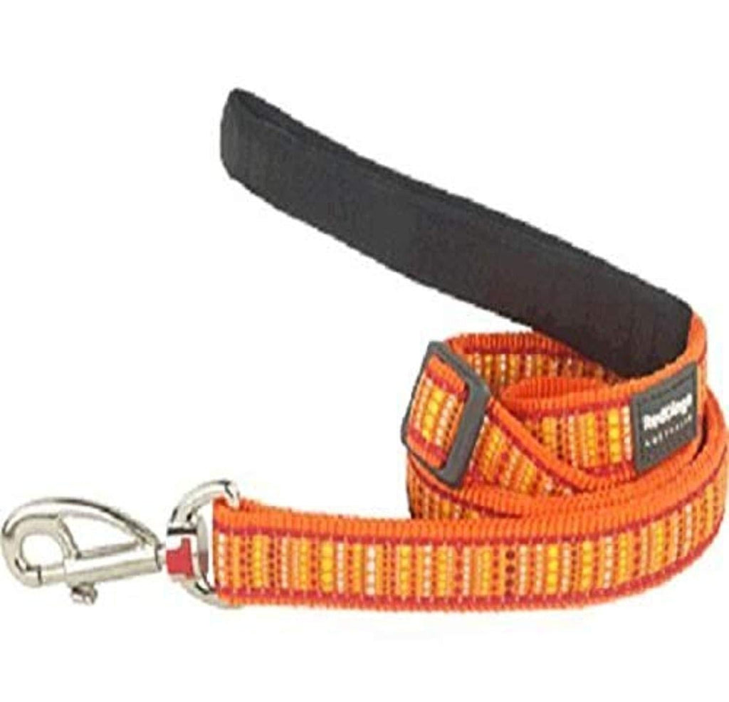 Red Dingo Lead, LotzaDotz, Orange, 20mm - PawsPlanet Australia