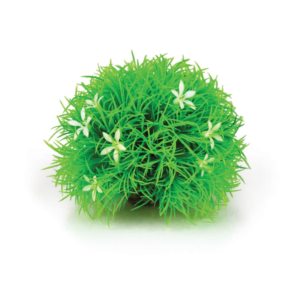 [Australia] - biOrb 46086.0 Flower Ball Topiary with Daisies Aquariums 