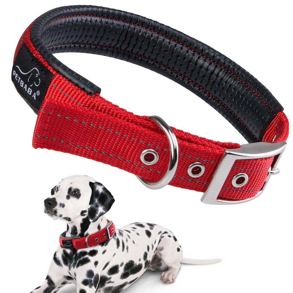 [Australia] - PETBABAB Padded Dog Collar with Buckle, Soft to Protect Neck, Durable to Last Long in Walking Training Pet 17"-22" Red 