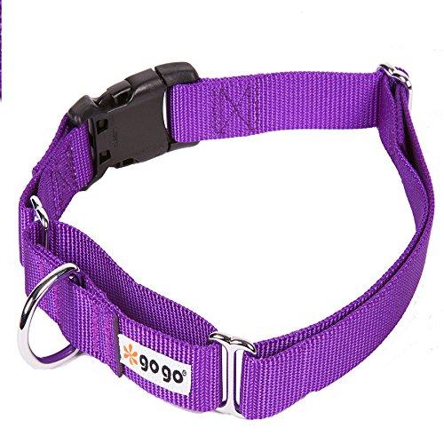 [Australia] - GoGo Adjustable Martingale Collars Purple Med/Lrg (1" web width) 