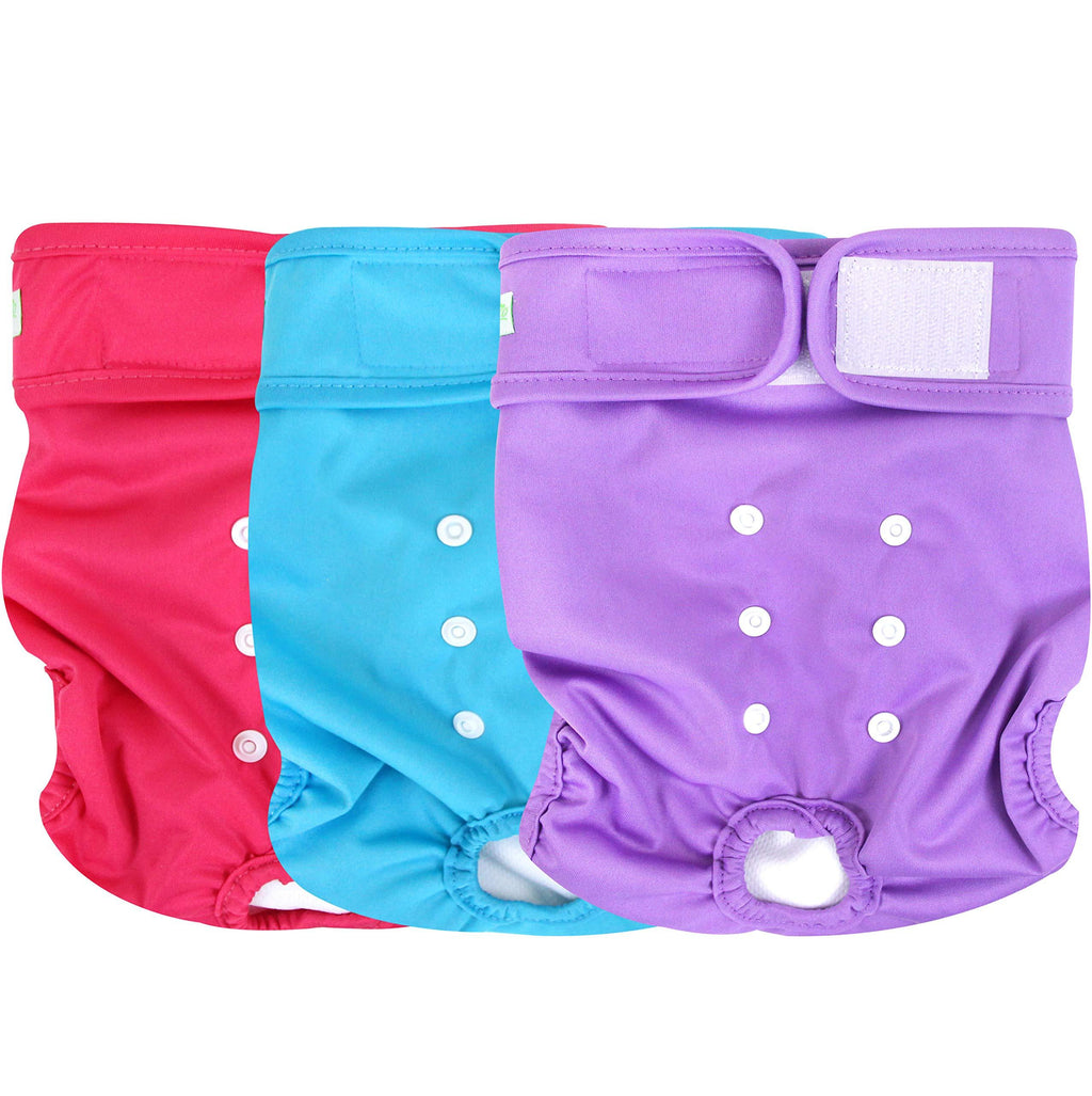 [Australia] - wegreeco Washable Female Dog Diapers (Pack of 3) Medium (12"-15" Waist) Bright Color 