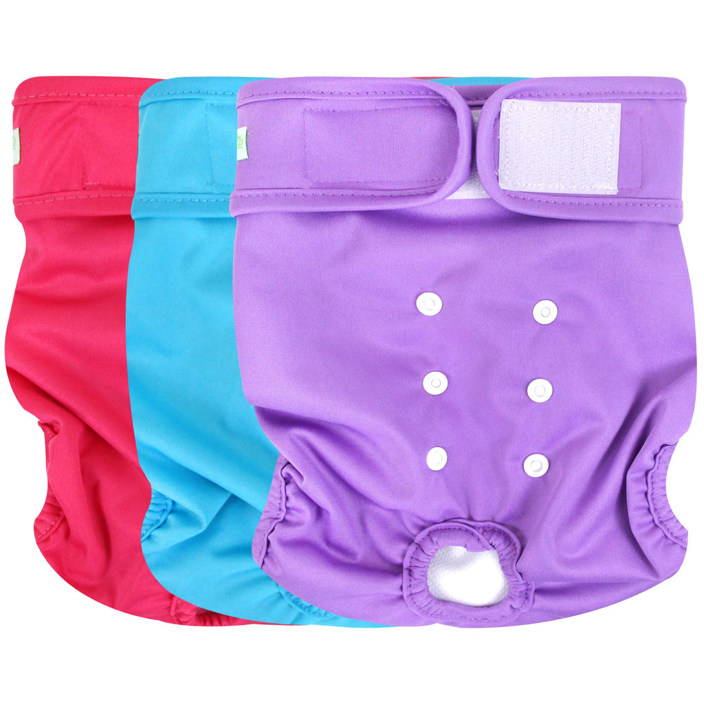 wegreeco Washable Female Dog Diapers (Pack of 3) Small (Newborn-10.5" Waist) Bright Color - PawsPlanet Australia