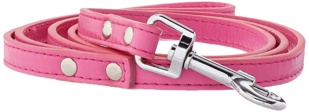 [Australia] - Mirage Pet Products Premium Plain Pet Leash Bright Pink 1/2" x 4' 