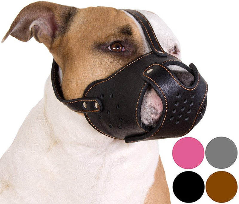 CollarDirect Dog Muzzle Pitbull Amstaff Basket Genuine Leather Staffordshire Terrier Black - PawsPlanet Australia