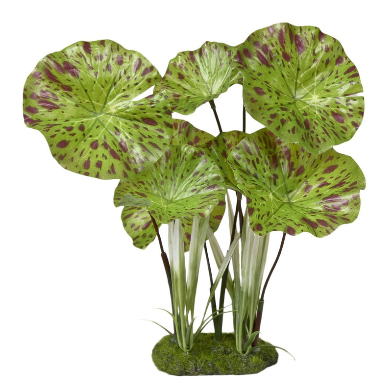 [Australia] - Blue Ribbon PET Products 030157018597 Color Burst Florals Lotus Plant 