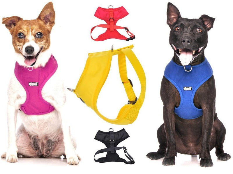 [Australia] - Dexil Elite Range Luxury Padded Waterproof Adjustable Back and Front Ring Non-Pull Pet Dog Vest Harness XSmall Small Medium Large Medium 19-28inch chest Flash Red 