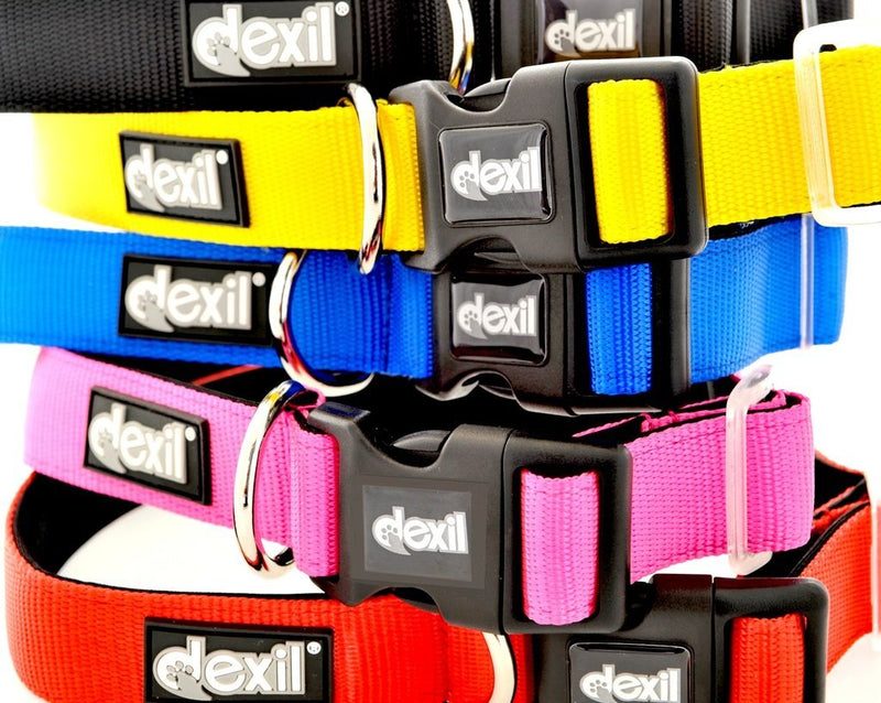 [Australia] - Dexil Elite Range Luxury Neoprene Padded Extra Strong Adjustable S M L XL XXL Pet Dog Collars Large-XL 15-25inch Sunburst Yellow 