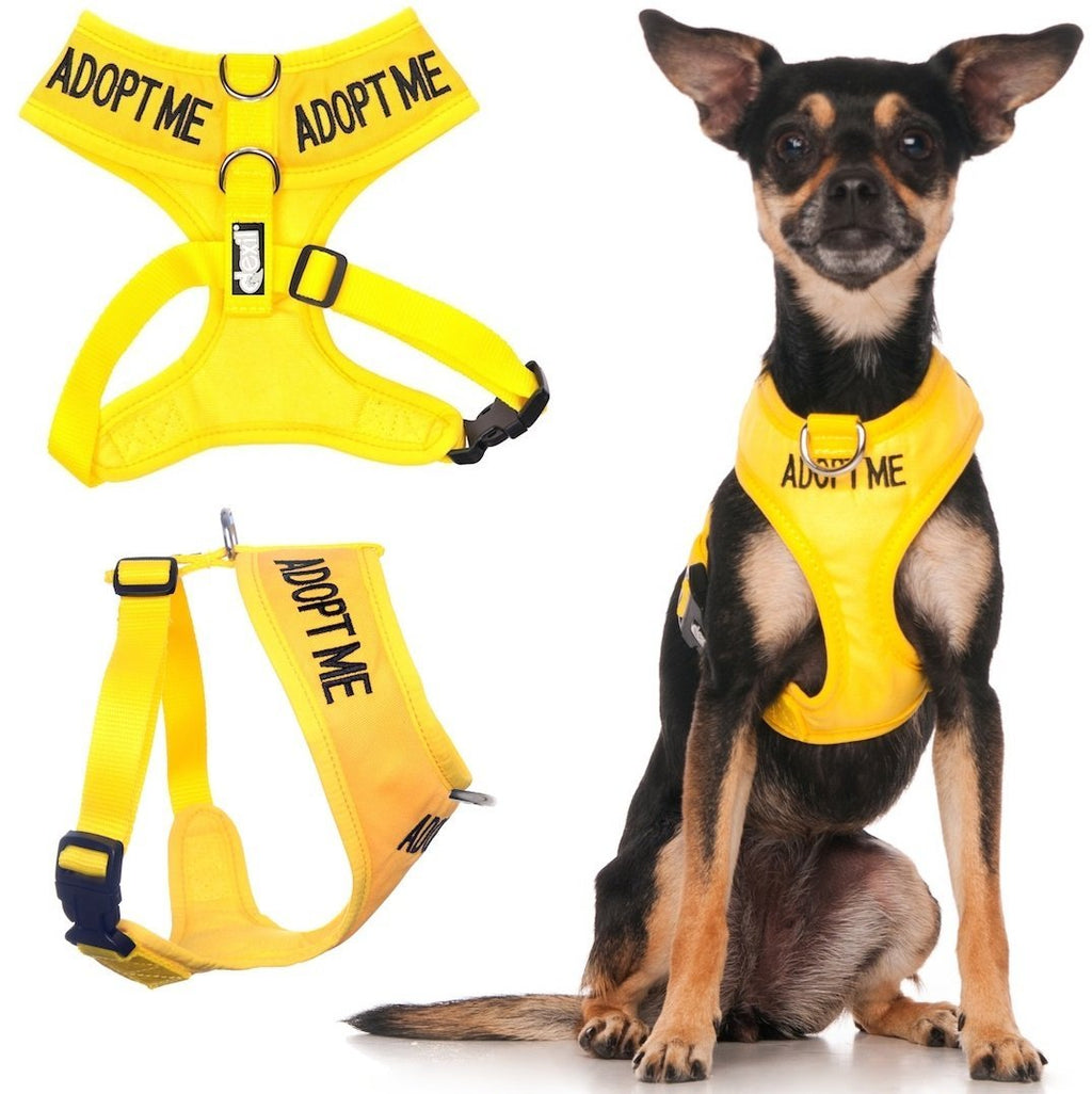 Dexil Limited Adopt ME (I Need A New Home) Yellow Color Coded Non-Pull Front and Back D Ring Padded and Waterproof Vest Dog Harness Prevents Accidents by Warning Others of Your Dog in Advance Extra Small Harness 13-19 Inch Chest/Girth - PawsPlanet Australia