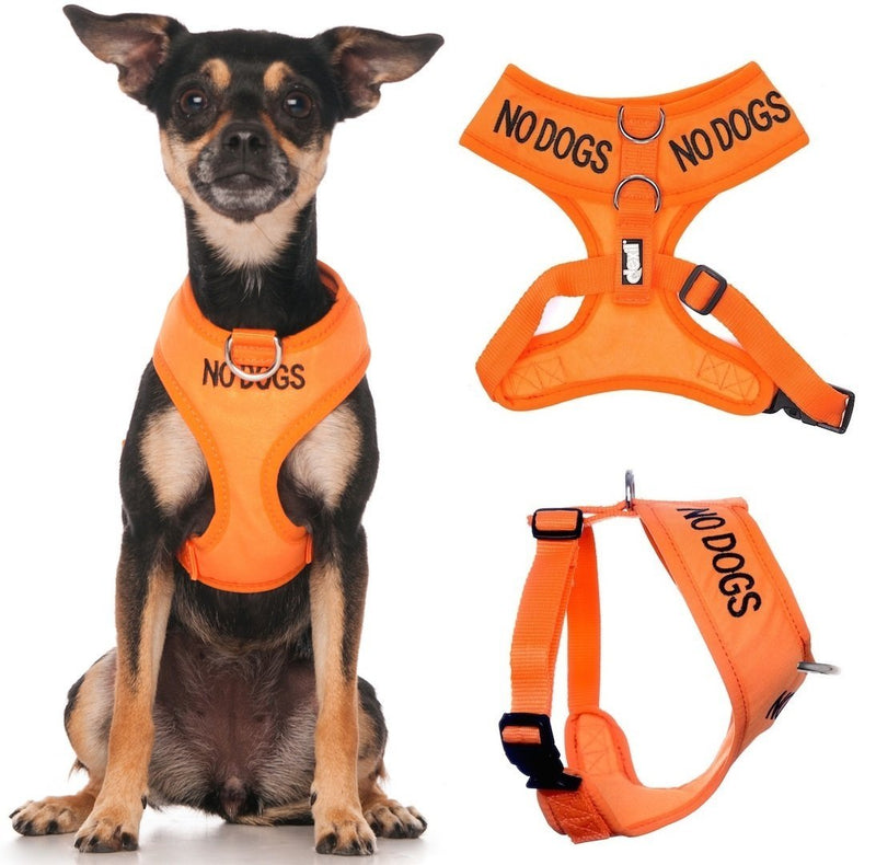 [Australia] - Dexil Limited NO Dogs (Not Good with Other Dogs) Orange Color Coded Non-Pull Front and Back D Ring Padded and Waterproof Vest Dog Harness Prevents Accidents by Warning Others of Your Dog in Advance Extra Small Harness 13-19inch Chest/Girth 