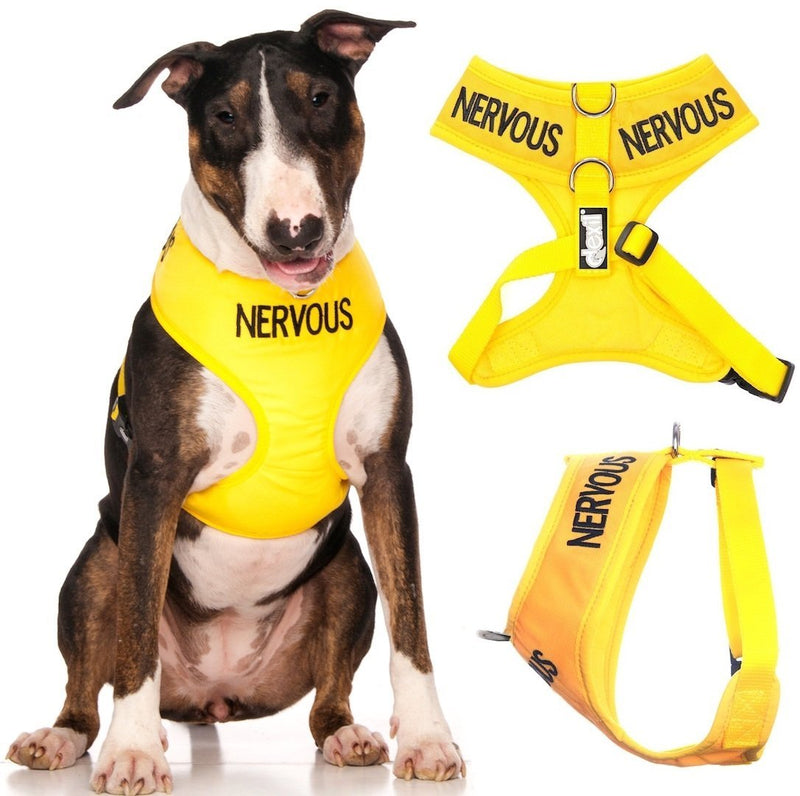 [Australia] - Dexil Limited Nervous (Give Me Space) Yellow Color Coded Non-Pull Front and Back D Ring Padded and Waterproof Vest Dog Harness Prevents Accidents by Warning Others of Your Dog in Advance Large Harness 22-32inch Chest/Girth 