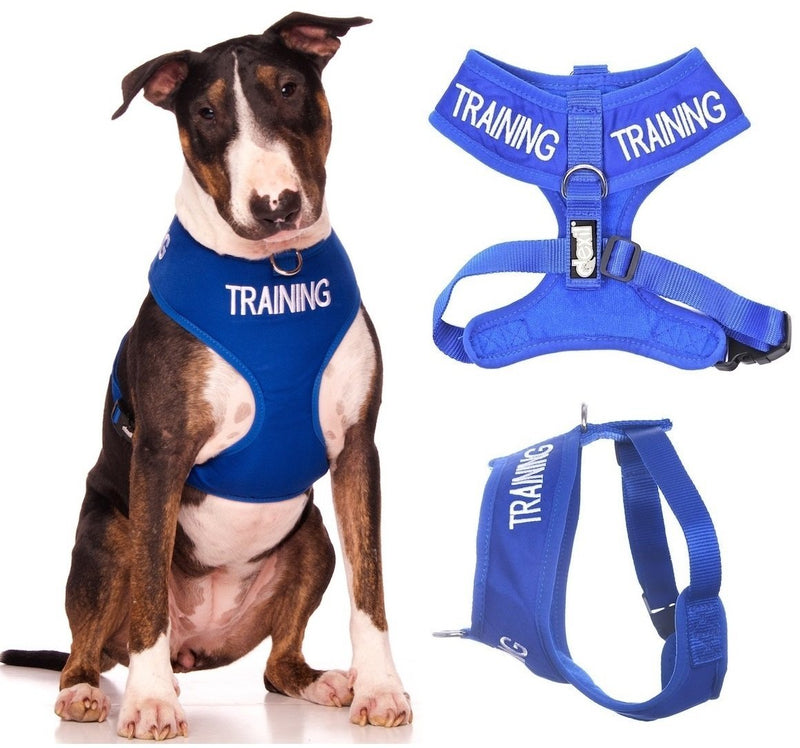 [Australia] - TRAINING (Dog In Training/Do Not Disturb) Blue Color Coded Non-Pull Front and Back D Ring Padded and Waterproof Vest Dog Harness PREVENTS Accidents By Warning Others Of Your Dog In Advance Large Harness 22-32inch Chest/Girth 