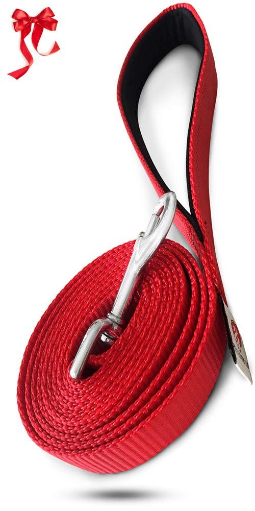 [Australia] - Dutchy Brand Heavy-Duty Dog Leash - Training-Lead with Comfortable Handle - 6 Feet Long by 1 Inch Wide - Perfect Length to Control Strong Dog and Puppy That Likes to Pull Puppies and Small Dogs (1-layer) Red 