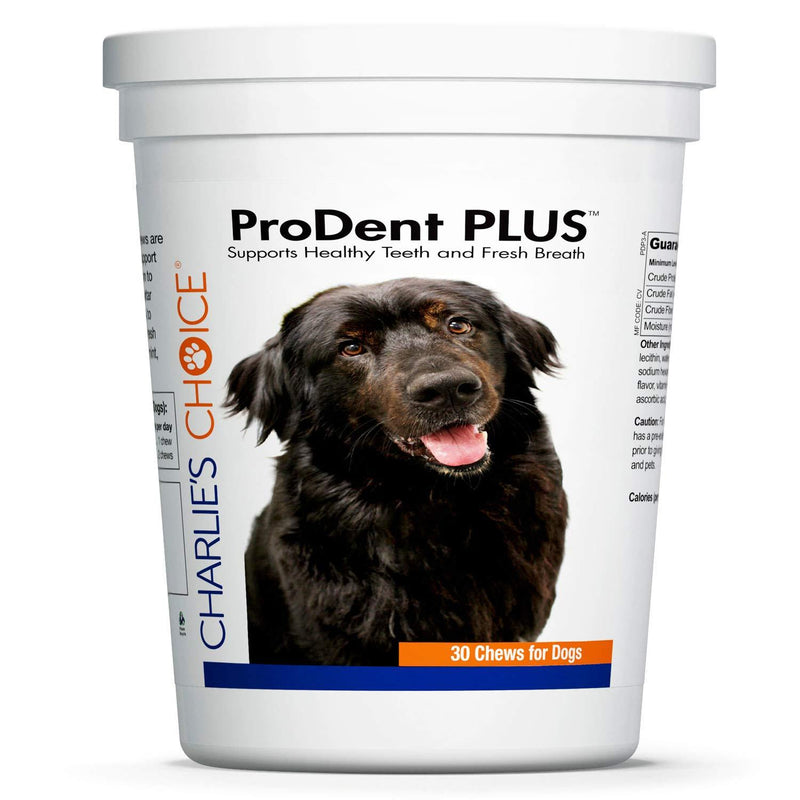 Charlie's Choice ProDent PLUS Dental Health Chews for Dogs 1 Pack - PawsPlanet Australia