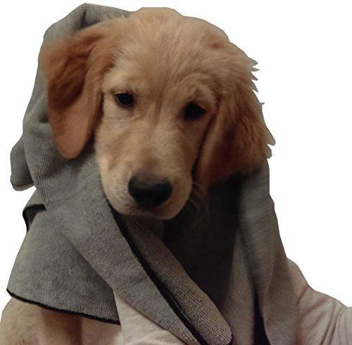 [Australia] - Microfiber Pros Dog Towels – Pack of 2 in Large 20" x 40" Size – Hypoallergenic and Chemical Free – Ultra-Absorbent for Bathing, Cleaning, Grooming – Machine Washable Gray 2 pack/trim color may vary 