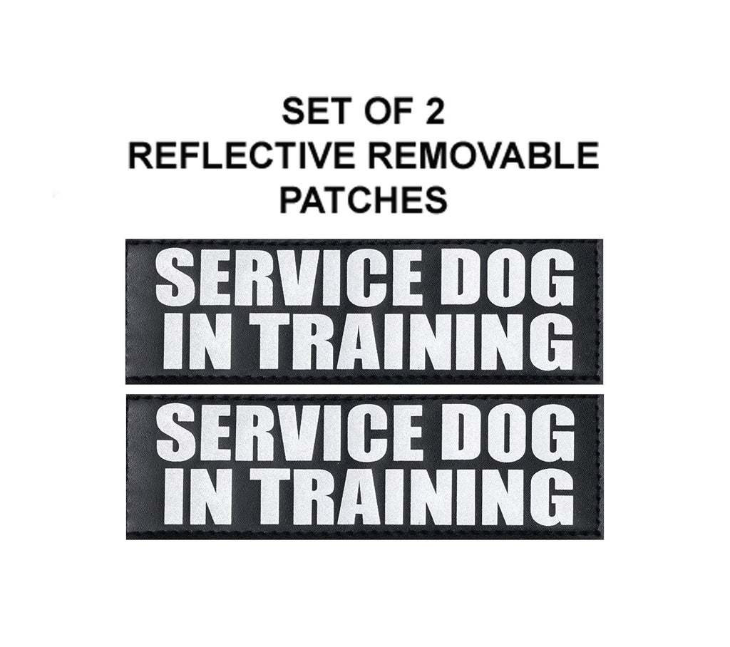 [Australia] - Doggie Stylz Set of 2 Reflective Service Dog in Training Removable Patches for Service Dog Harnesses & Vests. Medium 4" X 1.5" 