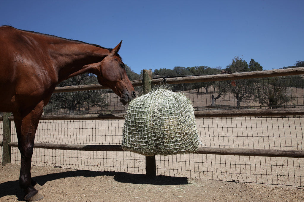 [Australia] - Freedom Feeder Mesh Net Full Day Slow Horse Feeder — Designed to Hold 30 lbs/4 Flakes of Hay and Feed Horse All Day — Reduces Horse Feeding Anxiety and Behavioral Issues 2" 