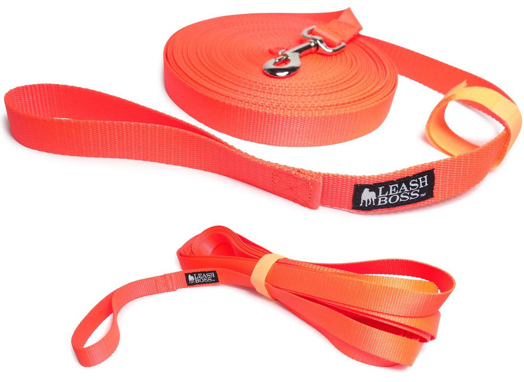 Leashboss Long Trainer - 50 Foot Lead - 1 Inch Nylon Long Dog Training Leash with Storage Strap - K9 Recall - for Large Dogs (50 Foot, 1 in, Orange) - PawsPlanet Australia