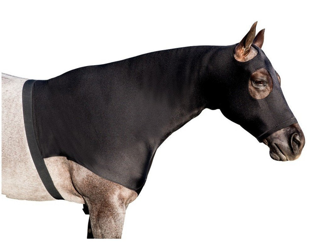 [Australia] - Professional's Choice Horse Hoodie Black Large 