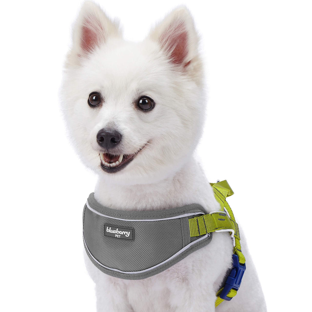 [Australia] - Blueberry Pet 8 Colors Soft & Comfortable 3M Reflective Strips Nylon Neoprene Padded Training Dog Harness (24.5" - 29.5") Chest Girth Citrus Lime 