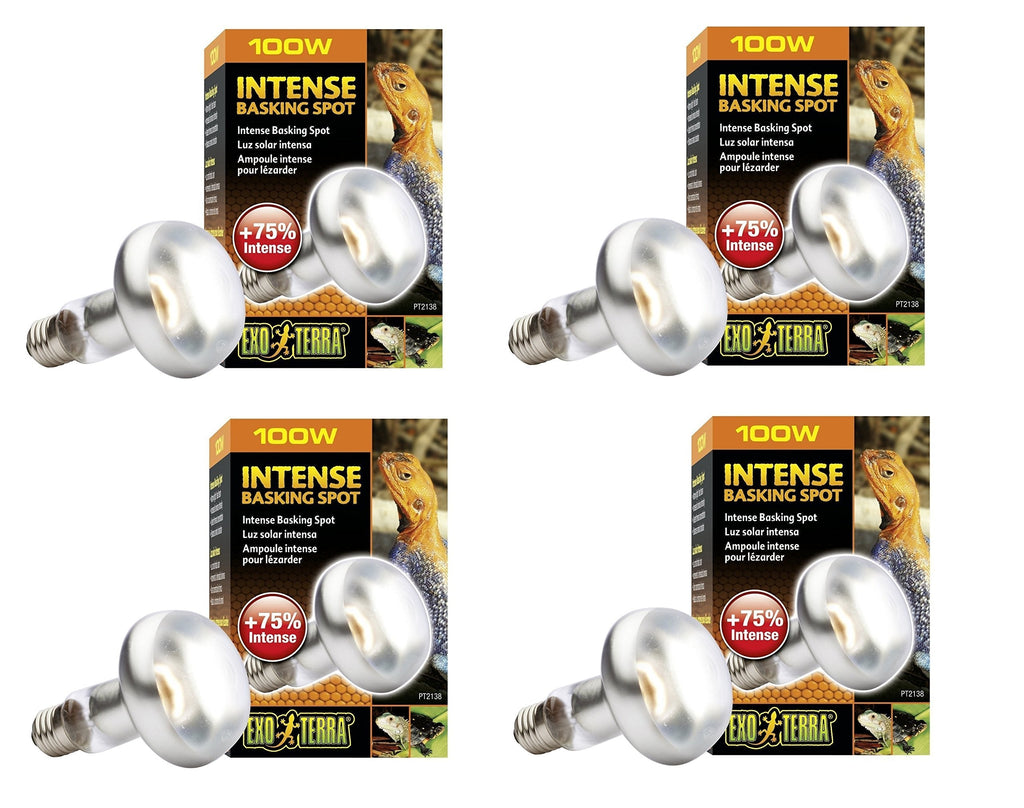 [Australia] - Exo Terra Sun-Glo Basking Infrared Spot Lamp, 100-Watt/120-Volt (4 Pack) 