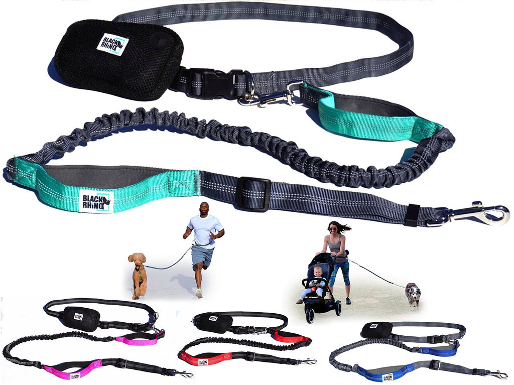 [Australia] - Black Rhino - Premium Hands Free Dog Leash for Running Walking Jogging & Hiking - Adjustable Length Dual Handle Bungee Leash Medium – Large Dogs Neoprene Padded Handles 4 Feet Gray/Aqua 