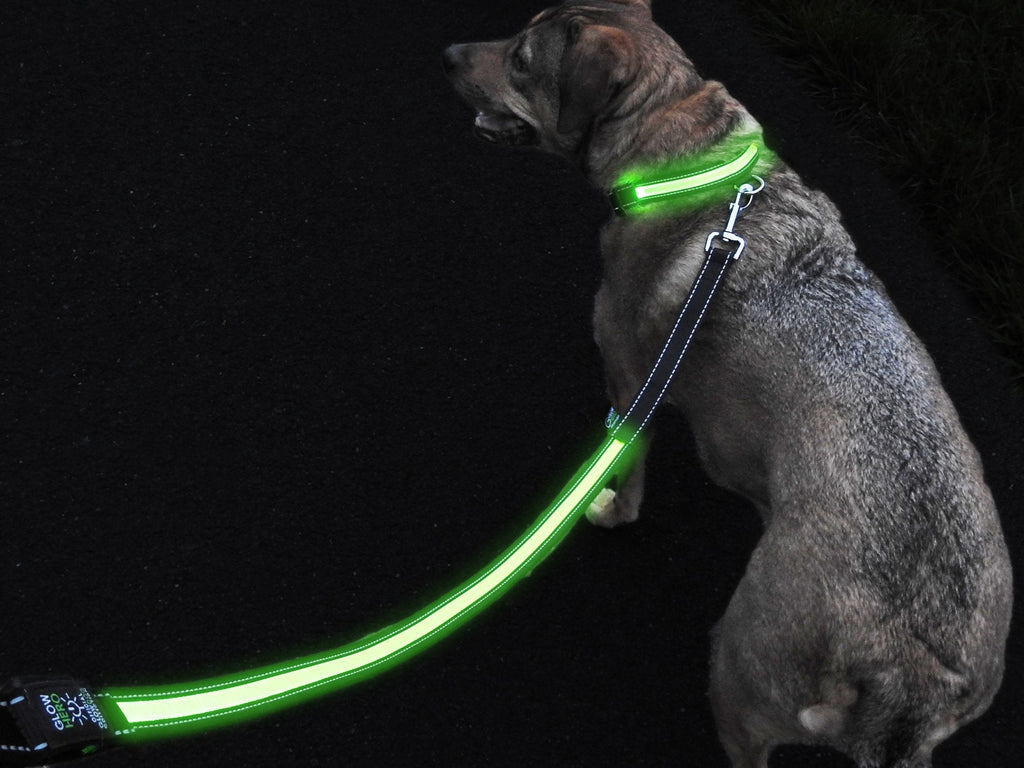 [Australia] - GlowHERO LED Light Up Dog Leash - The Original GlowLeash - High Visibility Durable and Reflective LED Pet Leash w/Padded Shock Absorbing Handle 4.2Ft Neon Green 