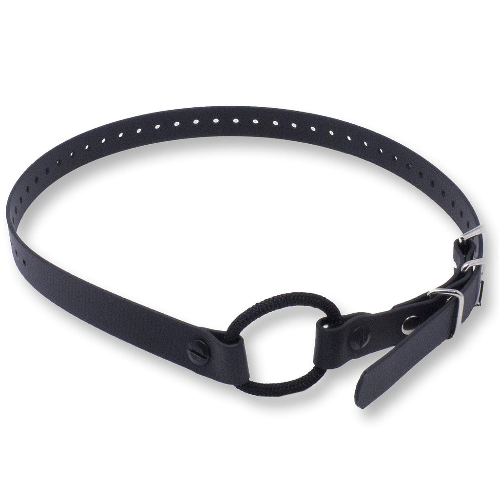 [Australia] - Educator Bungee Collar 3/4" by 33" Black 