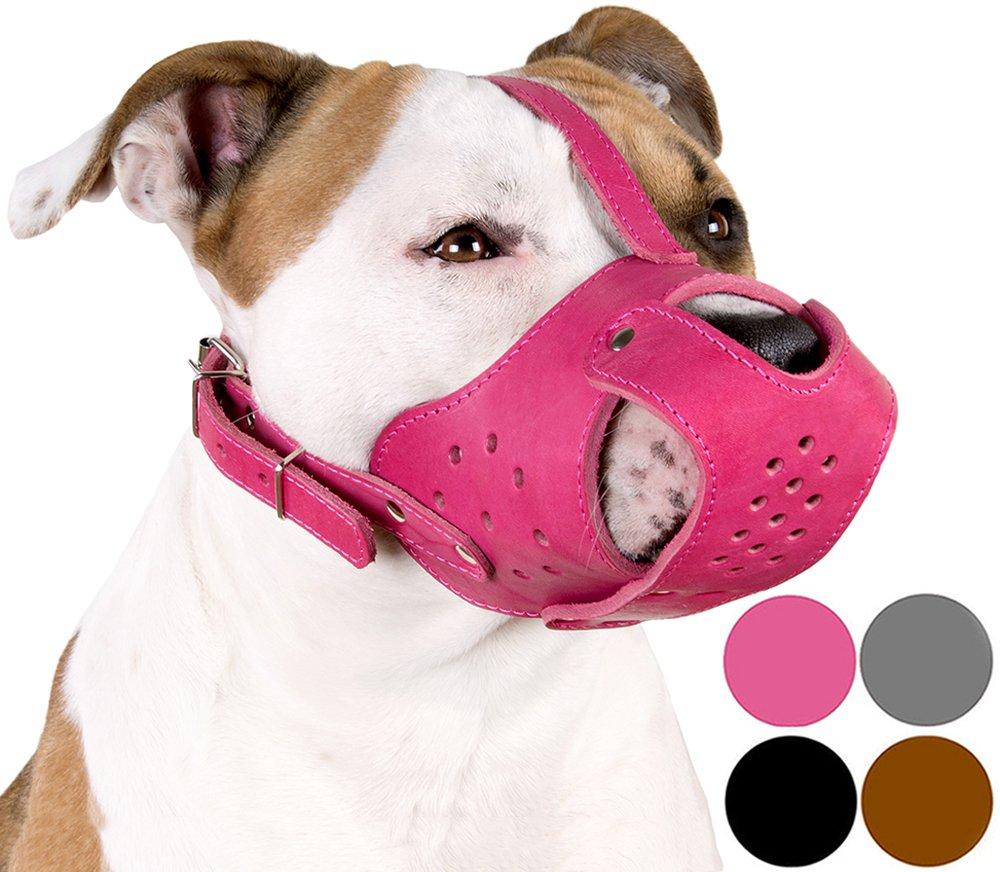 [Australia] - CollarDirect Dog Muzzle Pitbull Amstaff Basket Genuine Leather Staffordshire Terrier Pink 