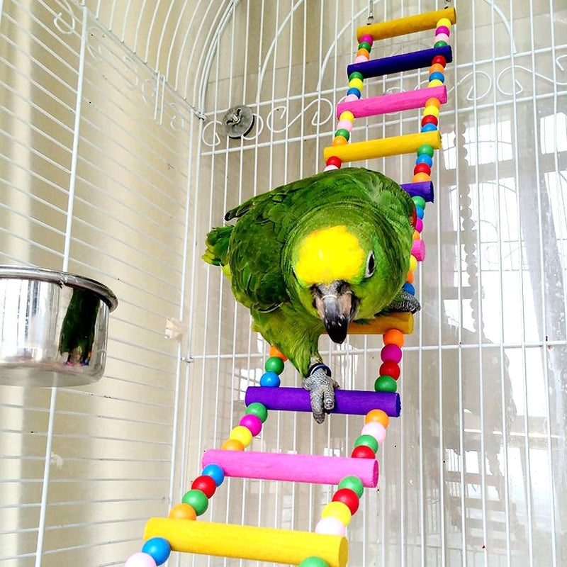 [Australia] - Bird Parrot Toys Ladders Swing Chewing Toys Hanging Pet Bird Cage Accessories Hammock Swing Toy for Small Parakeets Cockatiels, Lovebirds, Conures, Macaws, Lovebirds, Finches 12 Ladders 