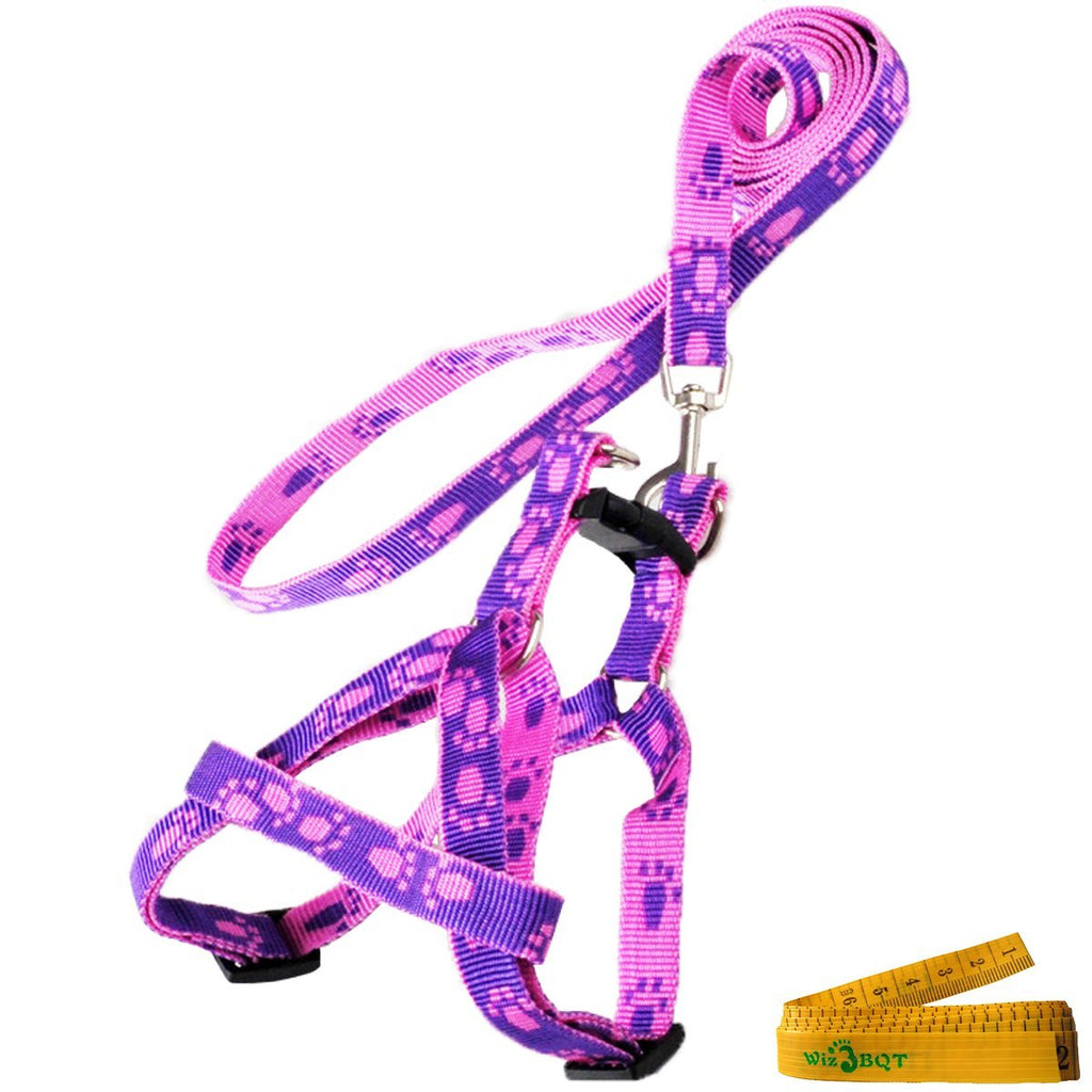 [Australia] - Wiz BBQT Pink and Purple Adjustable Breakaway Dog Cat Pet Harness and Leash Set with Footprint for Dogs Cats Pets in Spring Summer Autumn Medium 