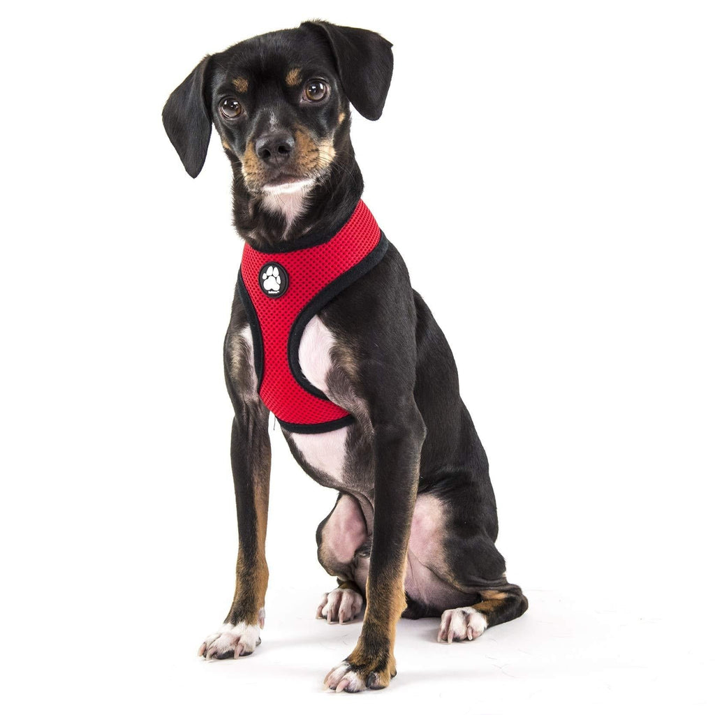 [Australia] - Furhaven Pet Dog Collar | Adjustable Padded Lightweight Breathable Mesh Pet Harness Vest for Dogs & Cats - Available in Multiple Colors & Sizes Small Red 