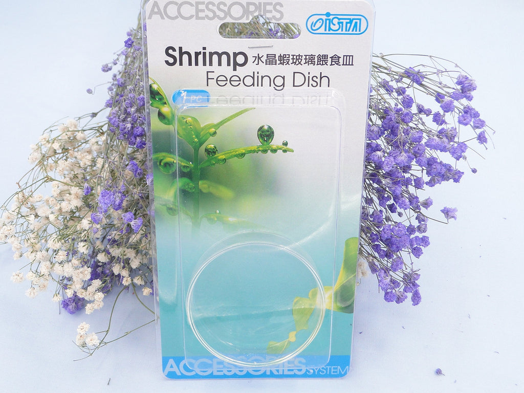 [Australia] - ISTA Clear Glass Dish Tray Bowl Shrimp Snail Fish Feeder Food Feeding Aquarium by Aquarium Supplies 