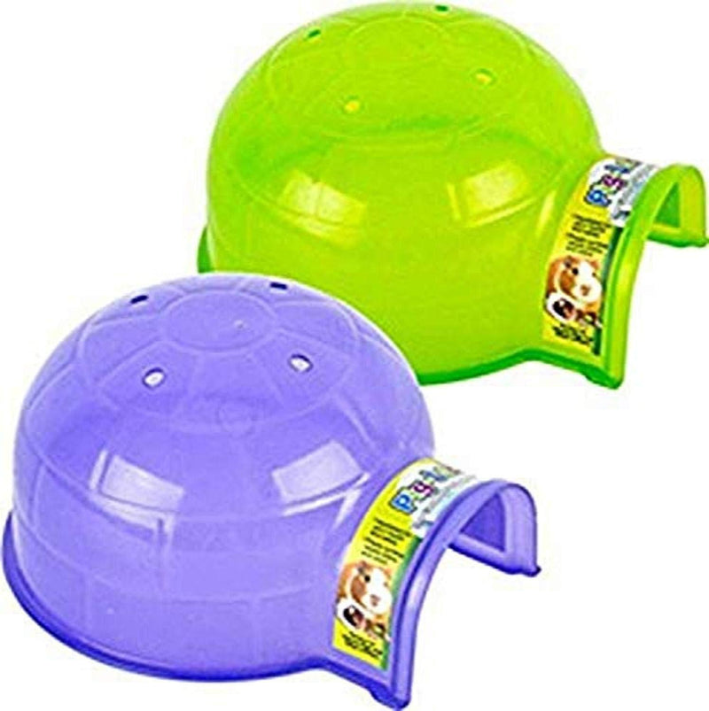 Ware Bird/SM an 089674 Pig Loo Assorted, Small - PawsPlanet Australia