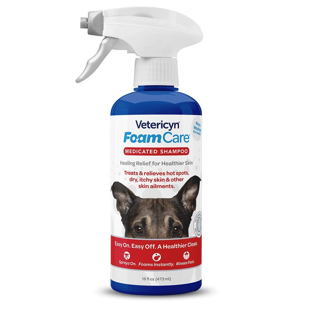 Vetericyn FoamCare Medicated Pet Shampoo. For Dogs, Cats and All Animals with Sensitive Skin. Anti-Itch, Promotes Healthy Skin and Coat, Hypoallergenic in Easy Spray Bottle. 16 Ounce, 473 Milliliters. Medicated Shampoo - PawsPlanet Australia