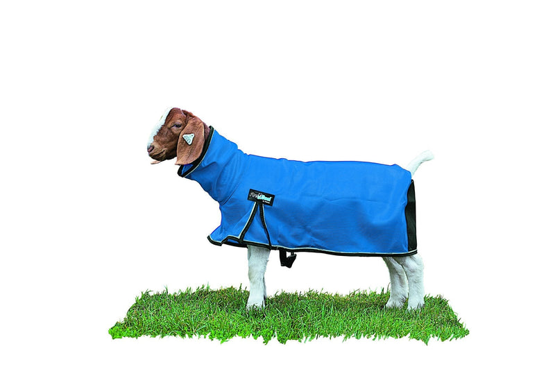 Weaver Livestock ProCool Goat Blanket Extra Small Blue - PawsPlanet Australia