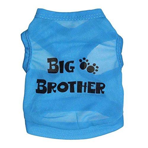 [Australia] - Ollypet Dog Shirt for Small Dogs Sayings Design Big Brother Blue L 