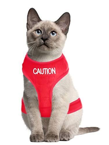 Dexil Colour Coded Cat Harness Warning Alert Vest Padded and Water Resistant Red CAUTION (S-M) Small-Medium - PawsPlanet Australia