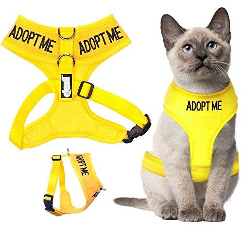 [Australia] - Dexil Color Coded Cat Harness Warning Alert Vest Padded and Water Resistant Yellow Adopt ME (L-XL) 