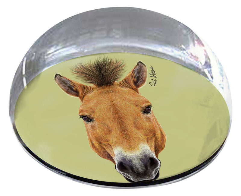 [Australia] - Forever Crystal "Horse Head Pet Memorial Magnet 