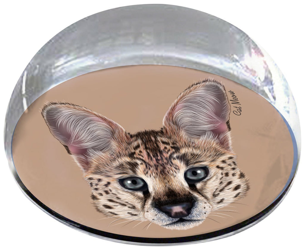[Australia] - Forever Crystal "Serval Cat Head Pet Memorial Magnet 