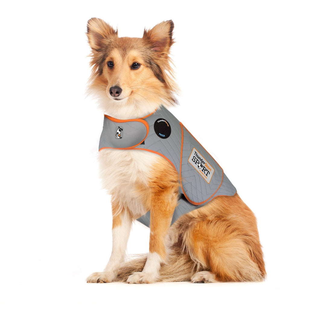 ThunderShirt Sport Dog Anxiety Jacket Large (41-64 lbs) Platinum - PawsPlanet Australia