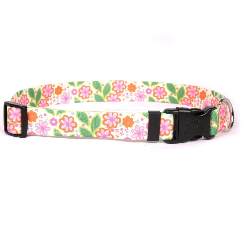 [Australia] - Flower Patch Designer Standard Dog Collar Small 