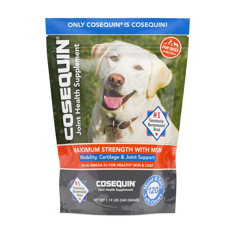 Nutramax Cosequin Joint Health Supplement for Dogs - With Glucosamine, Chondroitin, MSM, and Omega-3 for Healthy Skin and Coat, 120 Soft Chews - PawsPlanet Australia
