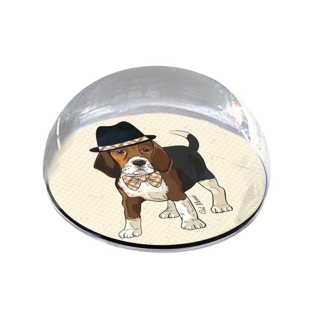 [Australia] - Forever Crystal BeagleDog_Hat Magnet Crystal 