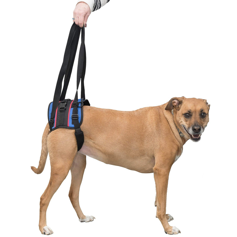 [Australia] - Walkin' Lift Combo Rear Dog Harness for Mobility | Helps Dogs with Arthritis, Senior Dogs and Pets Recovering from Surgery Medium 