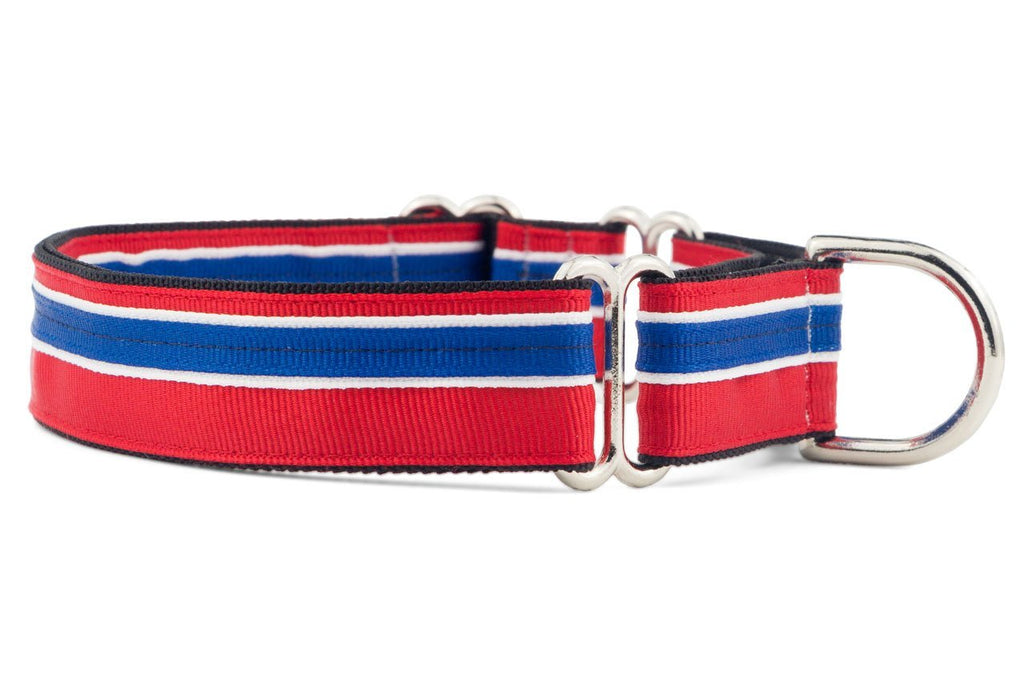 [Australia] - If It Barks 1" Martingale Collar for Dogs, Adjustable Nylon, USA Made Medium (15"-22") Patriotic 