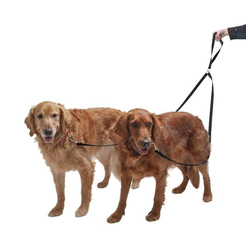 [Australia] - Furhaven Pet Dog Leash - Two Tails Walking Dual Dog Tangle-Free Pet Leash for Dogs & Cats, Black, One Size 