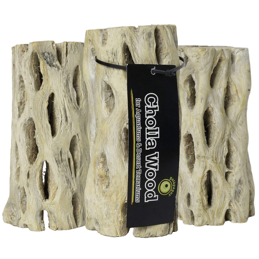 Galapagos 05270 Cholla Wood for Aquarium ,(pack of 3) (pack of 3) - PawsPlanet Australia