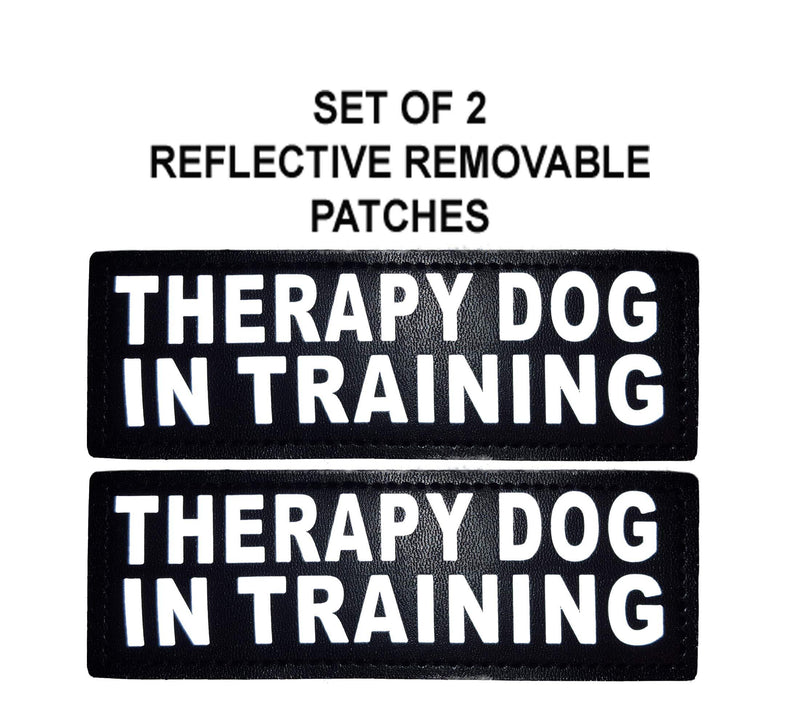 [Australia] - Doggie Stylz Set of 2 Reflective Therapy Dog in Training Removable Patches for Service Dog Harnesses & Vests. Large 6" X 2" 