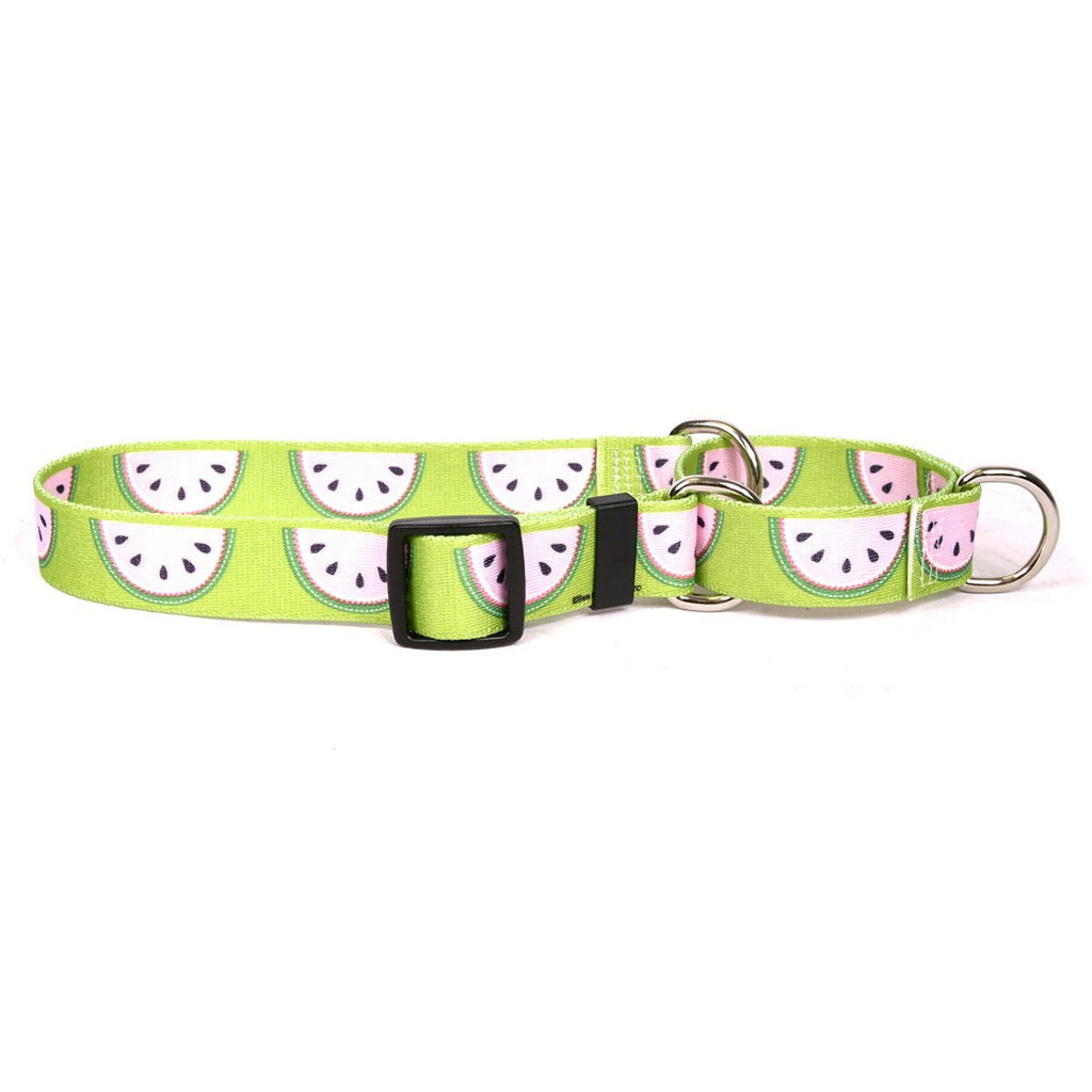 [Australia] - Wonderful Watermelons Martingale Designer Dog Collar Extra Small 10" 